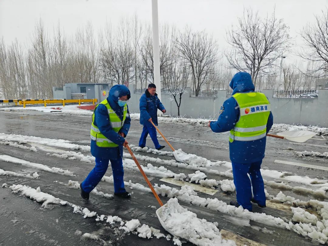 迎雪出擊！德商高速清冰除雪護坦途